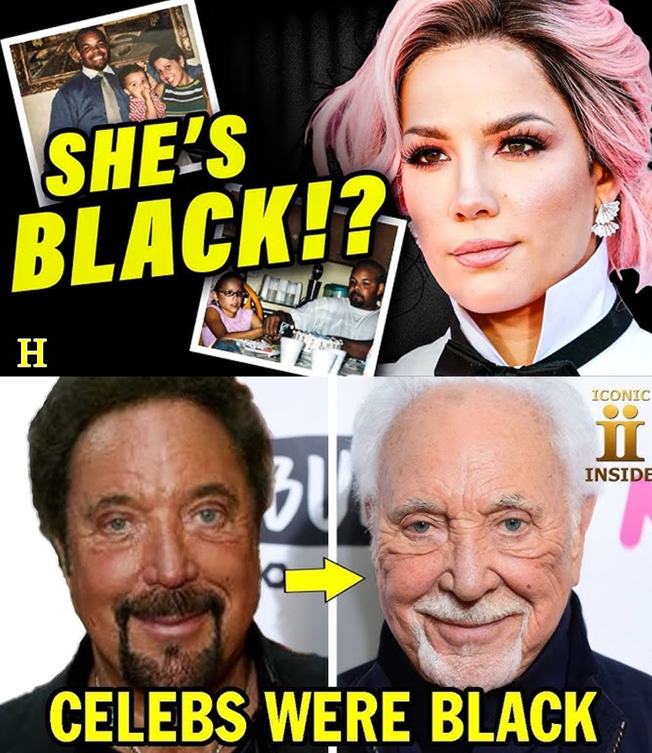 10 Celebrities You Didn’t Know Were BLACK… UNTIL NOW!