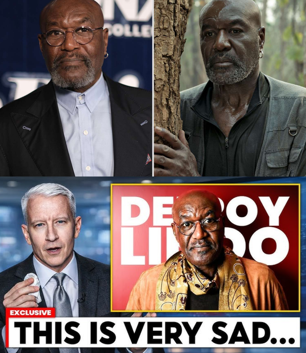 What Really Happened To Delroy Lindo!