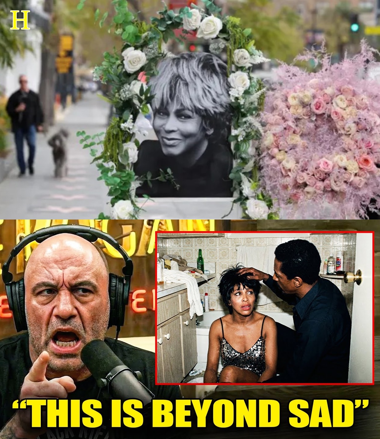 No One Believed These Tina Turner Stories! Until They Watched This