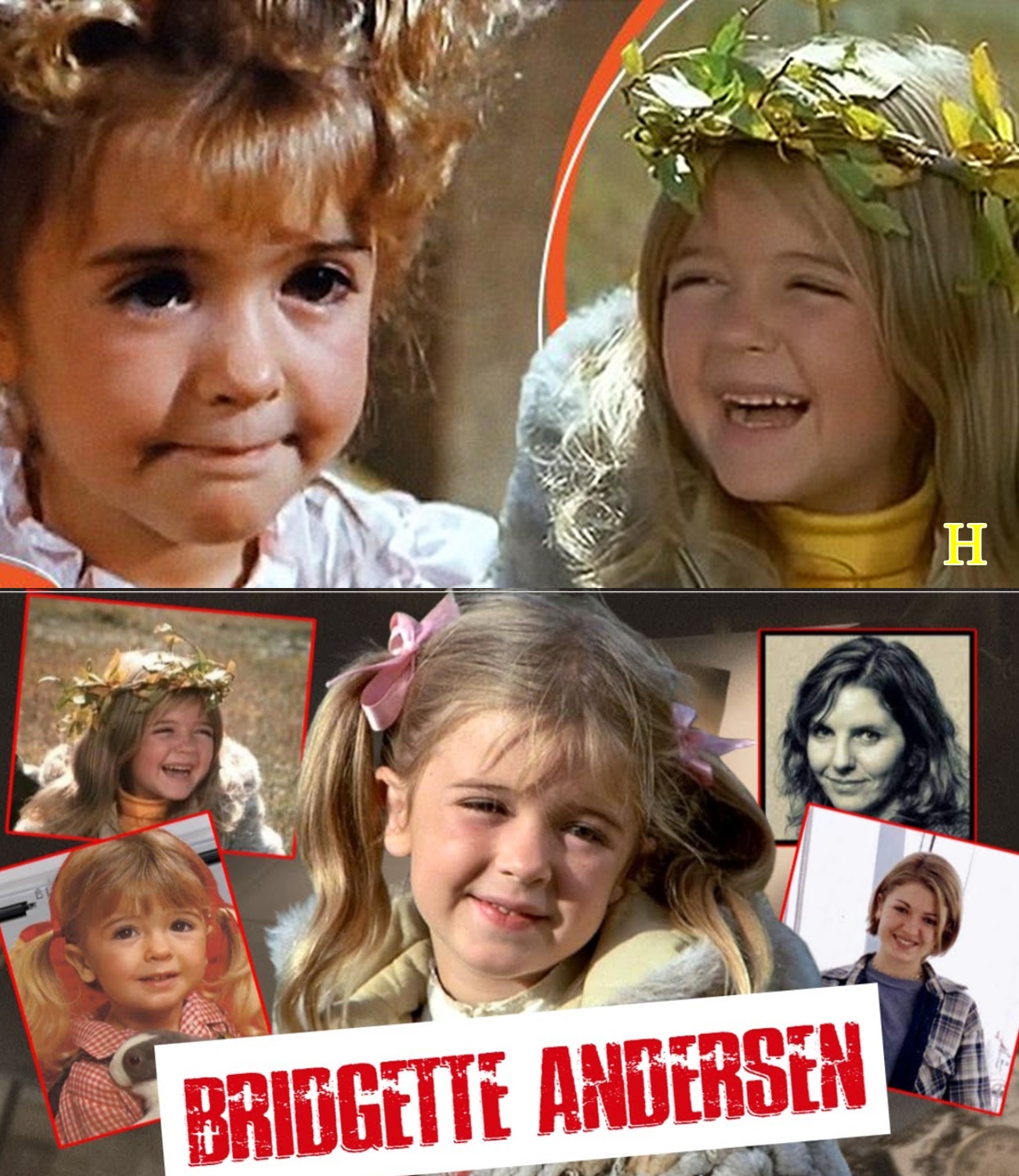 The Dark Truth Behind Bridgette Andersen’s Death