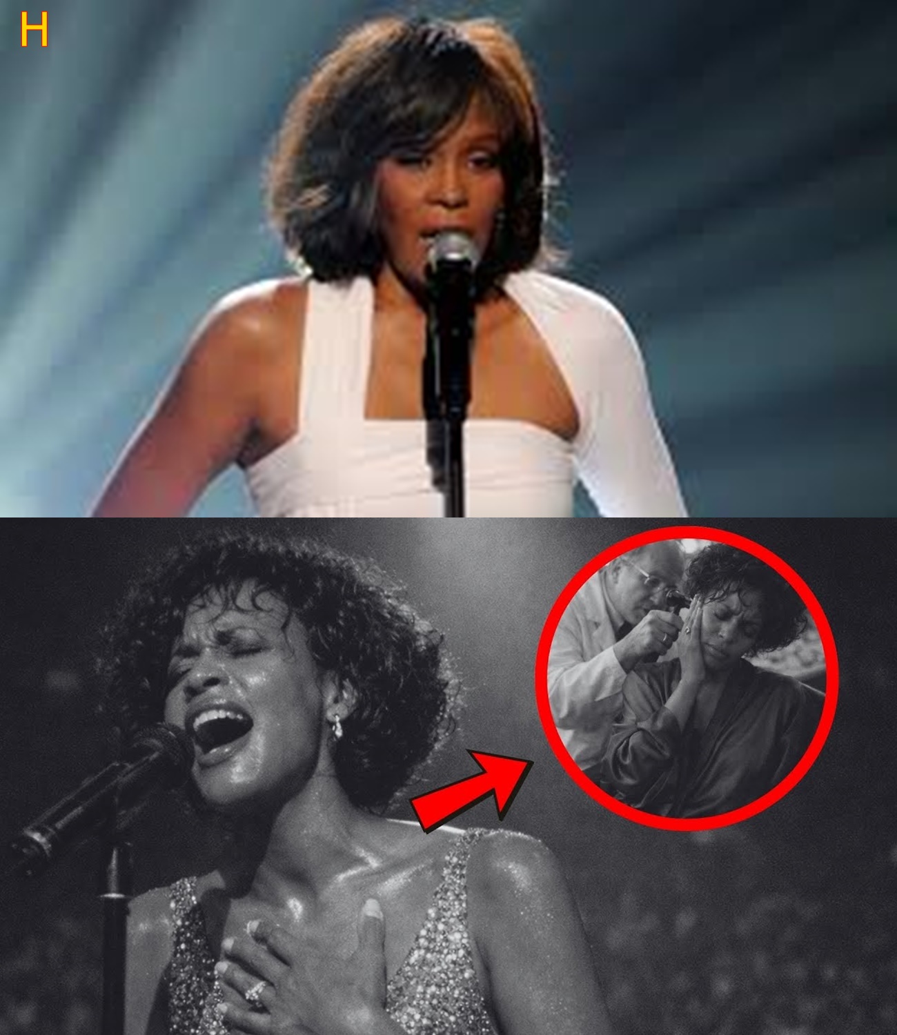 Whitney Houston Performed DEAF — What Happened Next Left 6,000 in TEARS