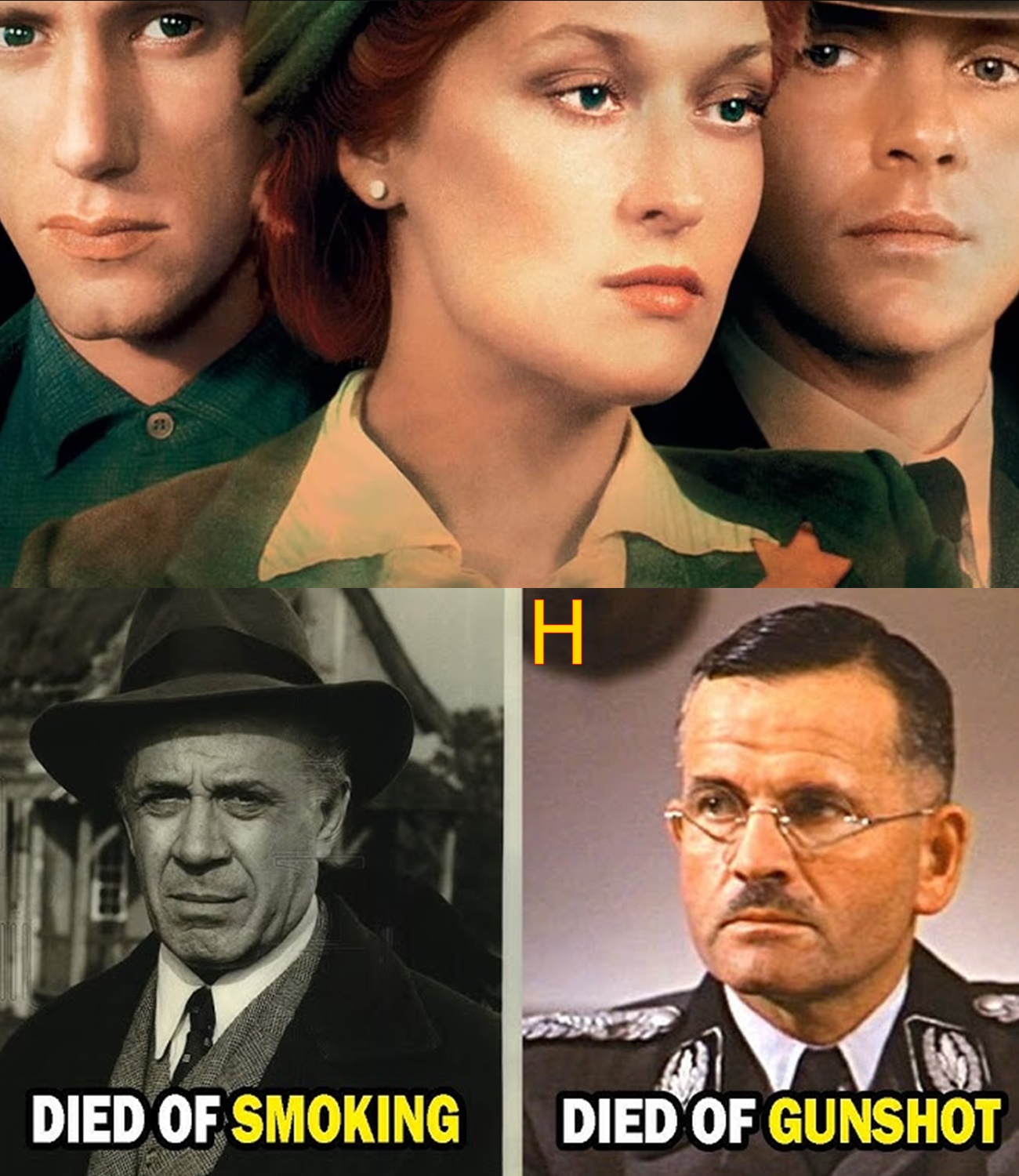 How the 12 Members of The Holocaust 1978 Cast Tragically Died?