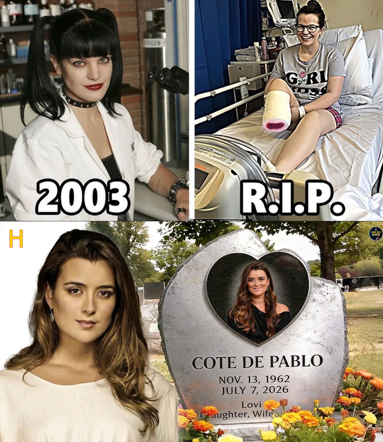 NCIS (2003) – 16 Actors Rest in Peace | Who Is Still Alive?