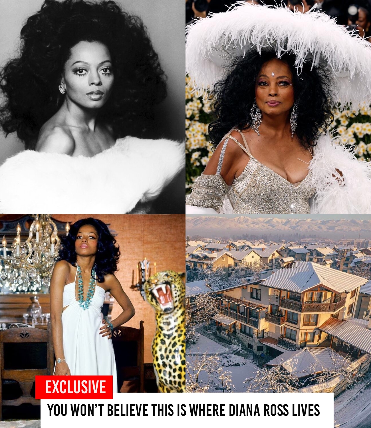 Diana Ross Turns 81 & This Is The House She Lives with Her Partner Today