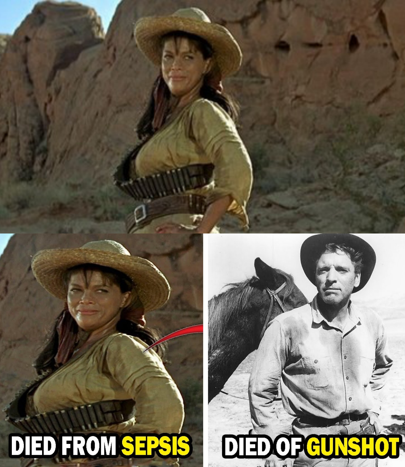 THE PROFESSIONALS 1966 Cast THEN AND NOW, All cast died tragically!