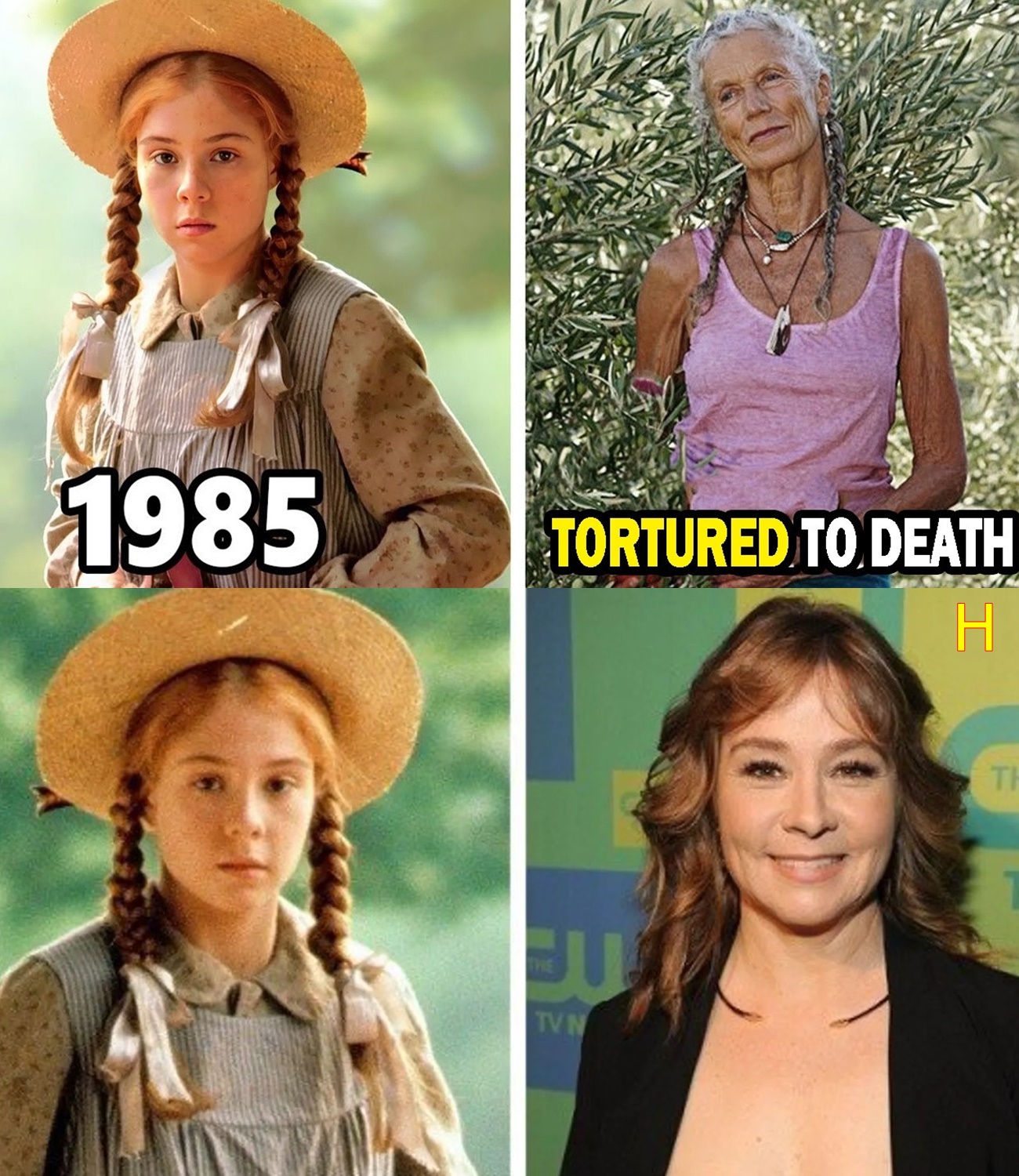 Anne of Green Gables (1985) After 39 Years, What Happened to The Cast Now 2025!