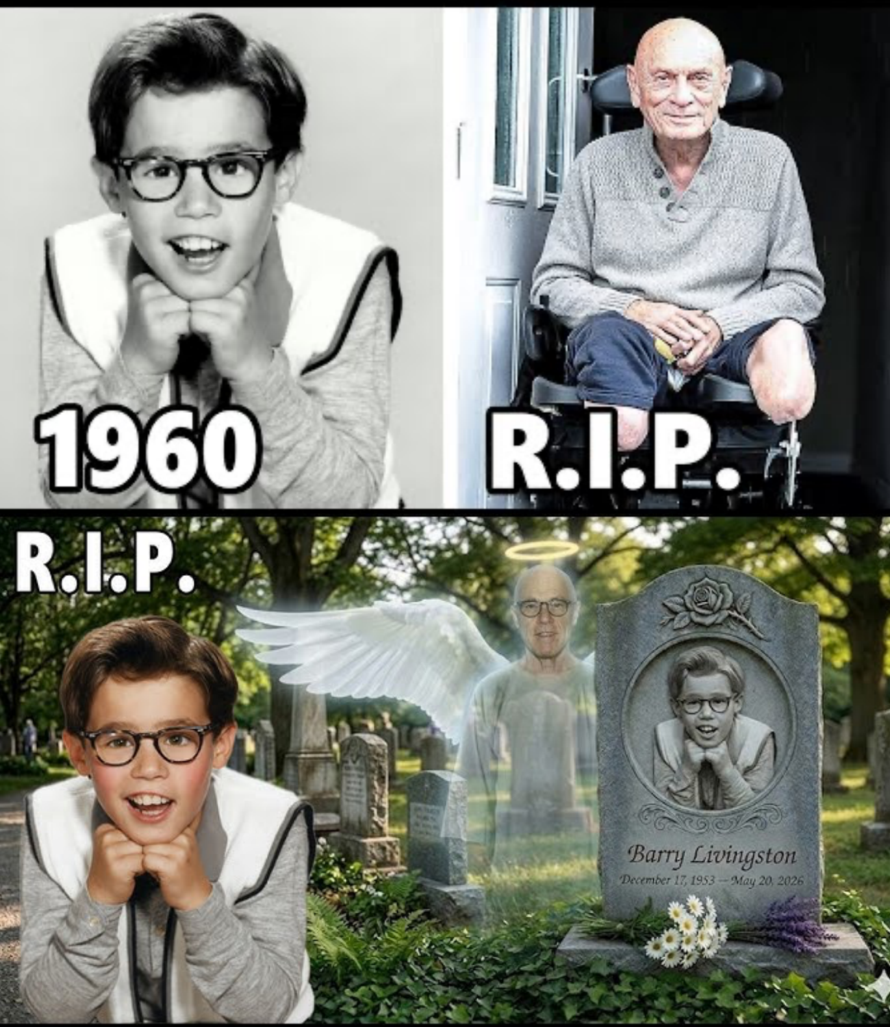 My Three Sons (1960–1972) Cast Then and Now 2026 | Tragic Ends & Who Is Still Alive?