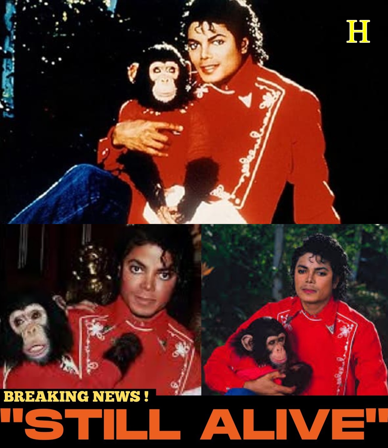 Michael Jackson’s Chimp Bubbles Is Still Alive -His Caretaker Just Revealed What He Does Every Day!