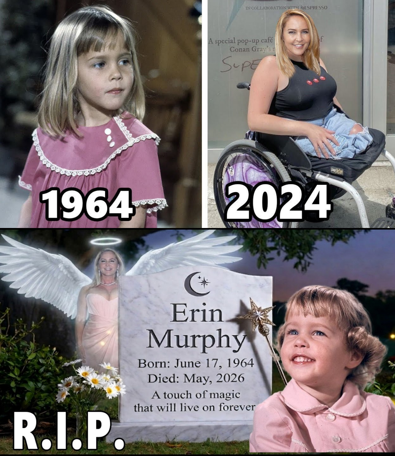 Bewitched (1964–1972) Cast Then and Now 2026, All the cast members died tragically!